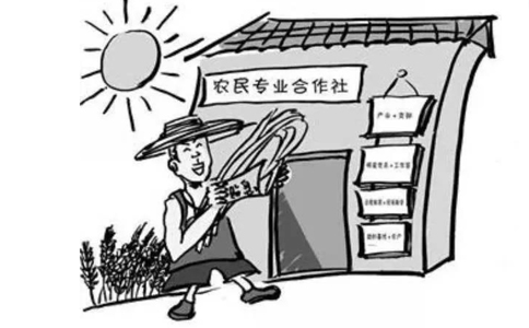 農(nóng)民專業(yè)合作社屬于企業(yè)法人嗎？農(nóng)民專業(yè)合作社的概念