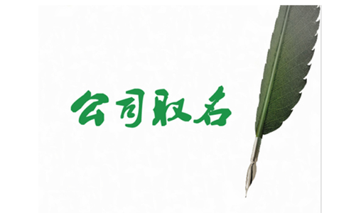 河南掌上登記名稱登記上傳資料哪里必須填嗎？
