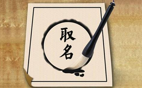 鄭州中原區(qū)公司注冊(cè)核名環(huán)?？萍甲痔?hào)怎么填